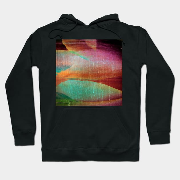 Petal rain | Abstract Hoodie by WesternExposure